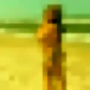 Photo exclusive de Ornella, 41 ans à Bucquoy - rencontre coquine