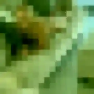 Photo de Adunni à Bulles (33 ans) - plan cul gratuit