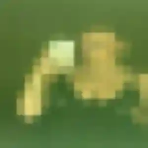 Photo de Lise à Burie (31 ans) - plan cul anonyme