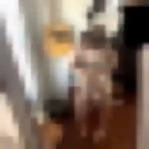 Nneka (24 ans) à Carresse-Cassaber propose un plan cul rapidement