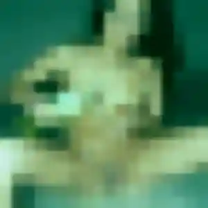 Photo sexy de Bousso, 31 ans à Carsan - plan discret