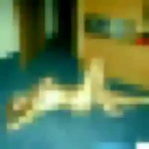 Nicole, femme de 28 ans cherche plan cul à Cartelègue