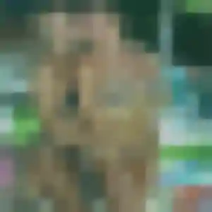 Yacine, 32 ans, cherche un plan cul à Castellare-di-Casinca