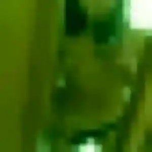 Sexy Dado, 32 ans à Castelnau-de-Lévis - voir sa photo
