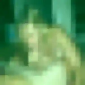 Jeanine, 28 ans, disponible à Cauvigny pour une rencontre coquine