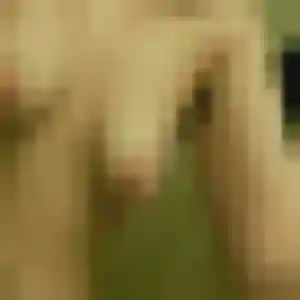 Laetitia, 45 ans, dispo pour plan cul à Cercier
