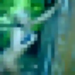 Photo de Yaa à Cerisy-la-Salle (32 ans) - plan cul anonyme
