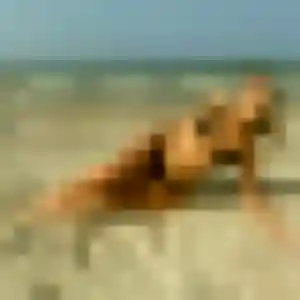 Photo de Soline à Ceton (34 ans) - plan cul anonyme