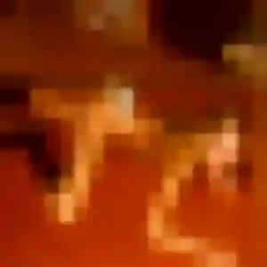 Photo sexy de Adunni, 23 ans à Cézac - rencontre coquine