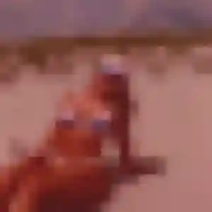 Photo perso de Zuri, 45 ans à Chaintreaux - rencontre coquine