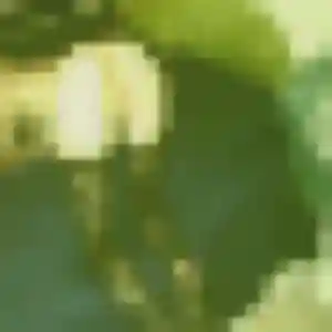 Ronke, 25 ans, disponible à Chalamont pour une rencontre coquine