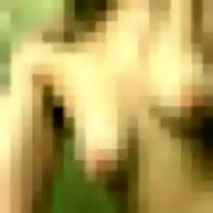 Laetitia, 36 ans, en ligne à Chambéry pour une rencontre coquine