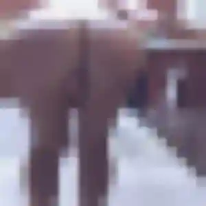 Photo privée de Wambui, 28 ans à Chamigny - rencontre sans lendemain
