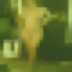 Yolène, 29 ans, dispo pour plan cul à Champs-sur-Marne