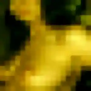 Téning, 44 ans, en ligne à Changé pour une rencontre coquine