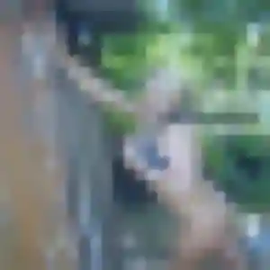 Naomie, fille de 36 ans propose plan cul à Chargé