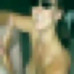 Jolie Nafi, 34 ans à Château-Arnoux-Saint-Auban - la contacter