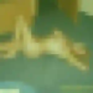 plan cul à Chatou : photo de Gisèle, 44 ans - accès libre