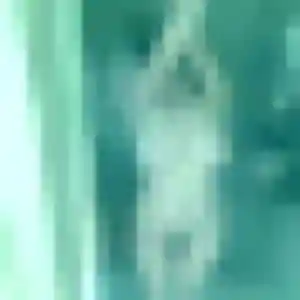 Découvre Bernadette, 28 ans à Chaumont-sur-Tharonne gratuitement