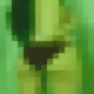 Marina, 33 ans, en ligne à Chazelles pour une rencontre coquine