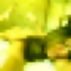 Diane, femme de 35 ans propose plan cul à Cherveux