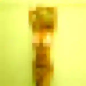 Profil de Jamila à Chooz (31 ans) - plan cul discret
