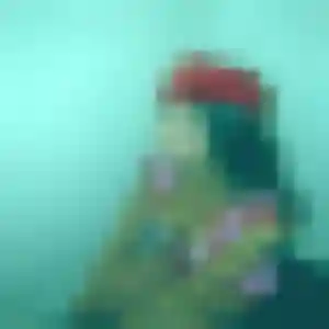 Jolie Dienaba, 37 ans à Cléré-les-Pins - la contacter