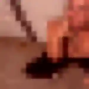 Adama, femme de 44 ans cherche plan cul à Clermont