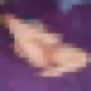 Salma, 33 ans, dispo pour plan cul à Coincy