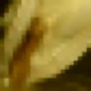 Photo de Dienaba à Collemiers (42 ans) - plan cul gratuit