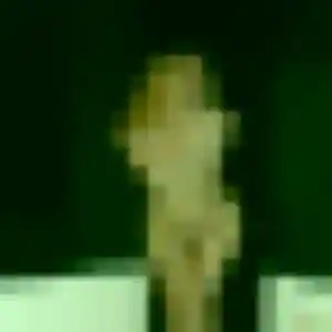 Profil de Ursula à Colombiers (36 ans) - plan cul discret