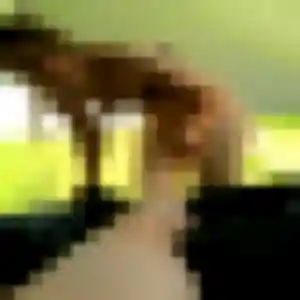 Photo exclusive de Naëlle, 24 ans à Compiègne - rencontre coquine