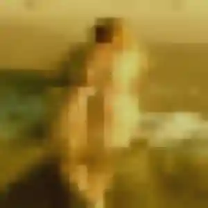 Éva, 24 ans, en ligne à Condé-Northen pour une rencontre coquine