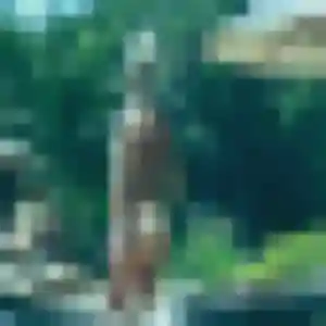 Sexy Soline, 40 ans à Contamine-sur-Arve - la contacter