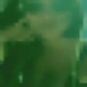 Photo privée de Jessica, 38 ans à Contrexéville - rencontre coquine