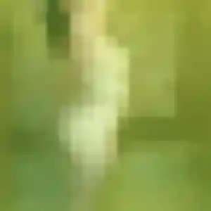 plan cul à Corbeny : photo de Adélaïde, 38 ans - sans engagement