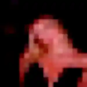 Khoudia, 24 ans, en ligne à Cotignac pour une rencontre coquine