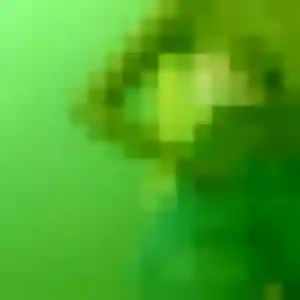 Photo de Aida à Coucouron (31 ans) - plan cul gratuit