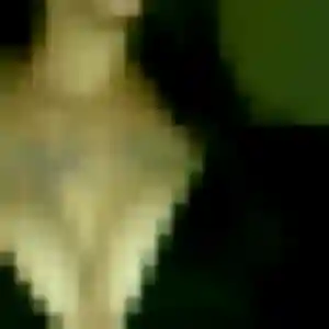 Photo perso de Seynabou, 36 ans à Coudray - rencontre coquine