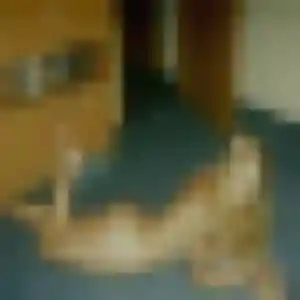 Fanny, 42 ans, en ligne à Coussay-les-Bois pour une rencontre coquine