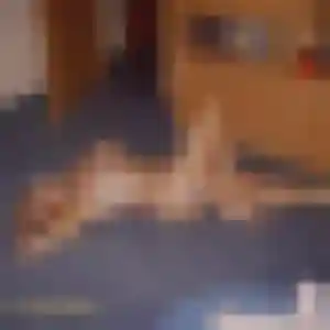 Photo exclusive de Lola, 25 ans à Couzeix - rencontre sans lendemain