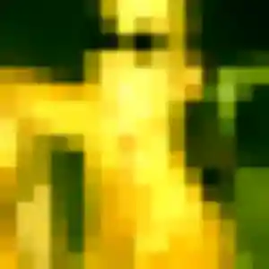 Photo de Titilayo à Créhange (45 ans) - plan cul anonyme