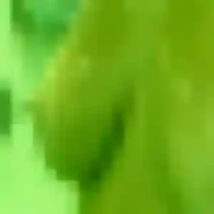 Photo privée de Prisca, 35 ans à Crèvecœur-le-Grand - rencontre sans lendemain