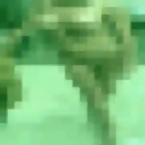Photo exclusive de Affoué, 28 ans à Crèvecœur-sur-l'Escaut - plan discret