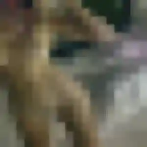 Photo de Valentine à Croutelle (36 ans) - plan cul gratuit