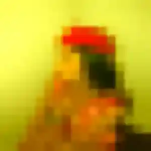 plan cul à Culhat : photo de Titi, 24 ans - sans engagement