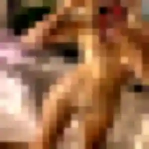 Valentine, 38 ans, dispo pour plan cul à Cusy