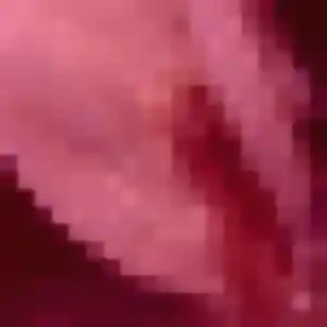 Photo exclusive de Naïma, 31 ans à Dembeni - rencontre sans lendemain