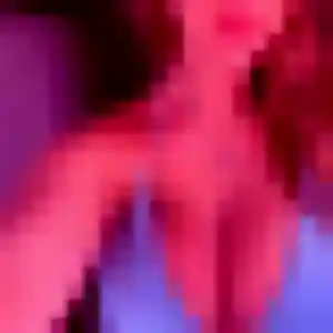 Yasmine, femme de 24 ans propose plan cul à Dolus-le-Sec