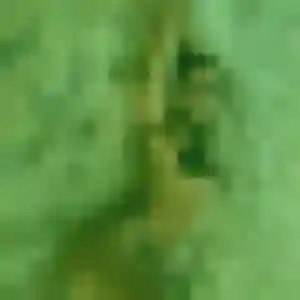 Profil de Maëlys à Domessin (28 ans) - plan cul gratuit